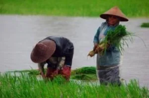 Sürget az idő